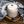 Load image into Gallery viewer, Masala Chai with Honey for Chai Latte