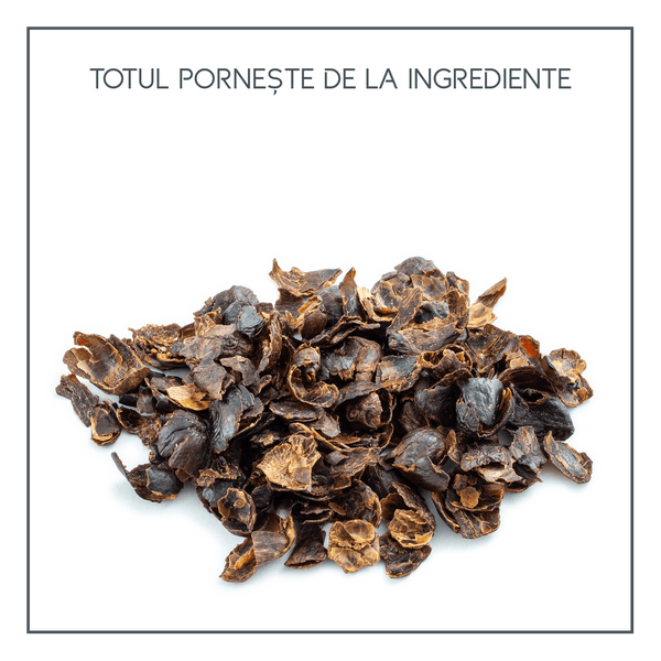 Cascara Lemonade | Limonada din fructul de cafea freeshipping - Kofi Ti