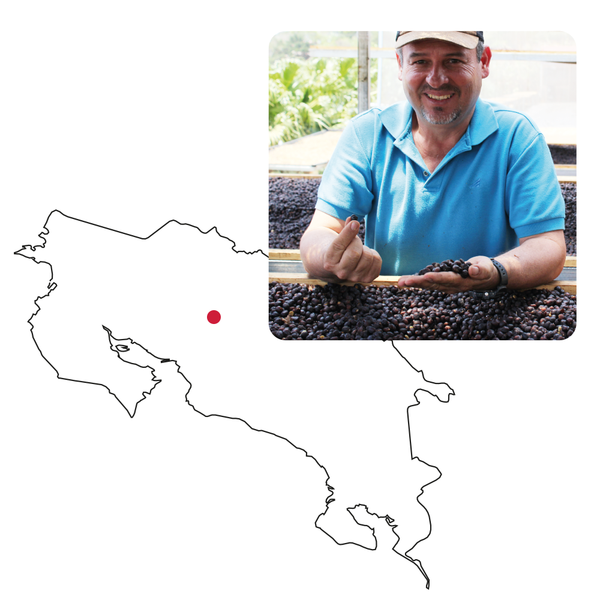 Cáscara de Café - Finca Las Lajas freeshipping - Kofi Ti