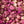 Load image into Gallery viewer, Kola Tonic freeshipping - Kofi Ti