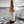 Load image into Gallery viewer, Shocked with a bang
