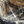 Load image into Gallery viewer, [PHOENIX] Voucher
