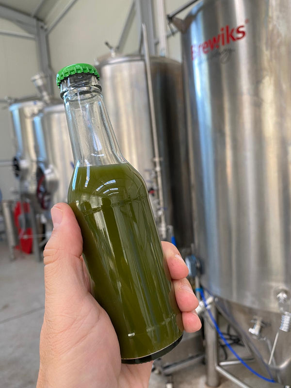 Matcha Lemonade